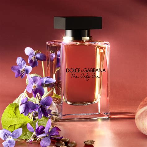 dolce gabbana the one içeriği|dolce and gabbana amber notes.